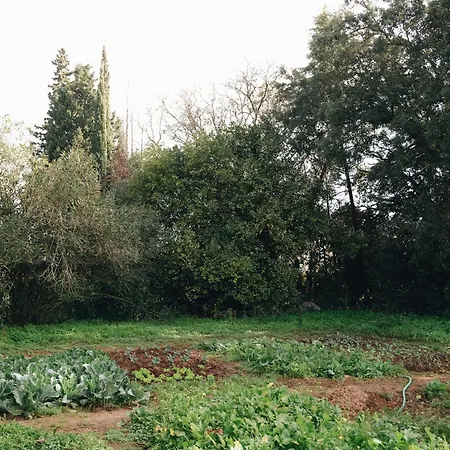 Quinta Da Vala, Serra Da Arrabida فيلة
