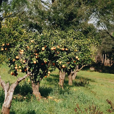 Quinta Da Vala, Serra Da Arrabida *