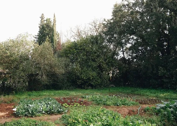 Quinta Da Vala, Serra Da Arrabida Βίλα