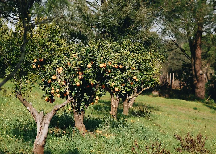Quinta Da Vala, Serra Da Arrabida *