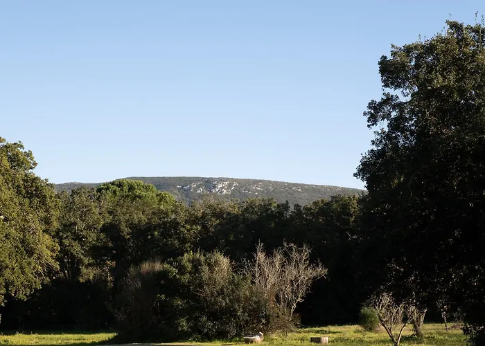 Βίλα Quinta Da Vala, Serra Da Arrabida *
